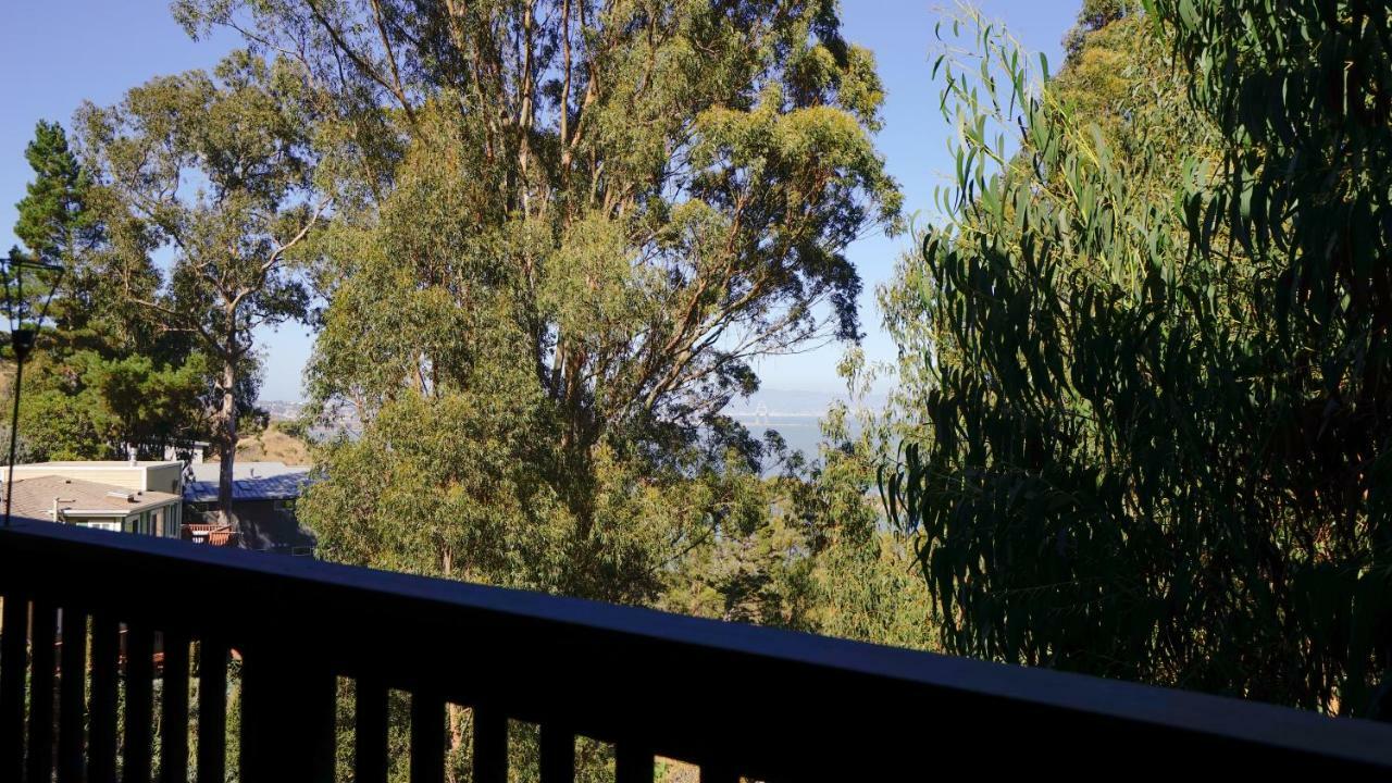 Villa @ Marbella Lane Eco Friendly Treehouse, Sfo Brisbane Exterior foto